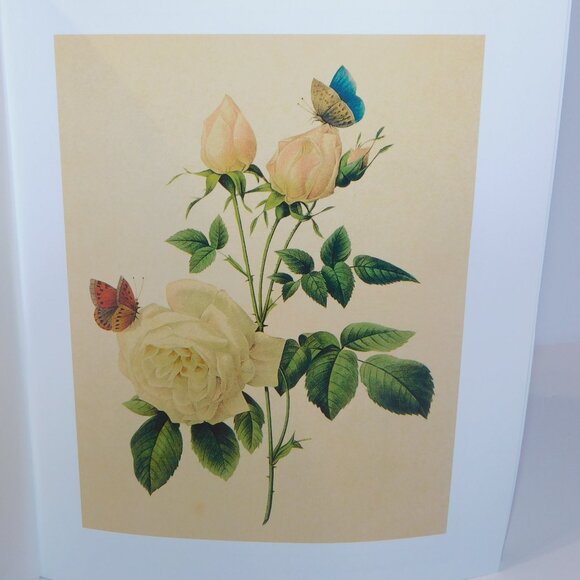 Instant Wall ART 45 Botanical Prints Vintage Illustrations For you Home - Picture 8 of 12